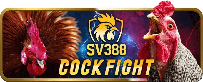 Kiểm soát cảm xúc khi chơi casino trực tuyến